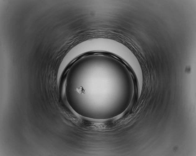 X0000098120328200804041414