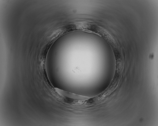 X0000098120329200804041414