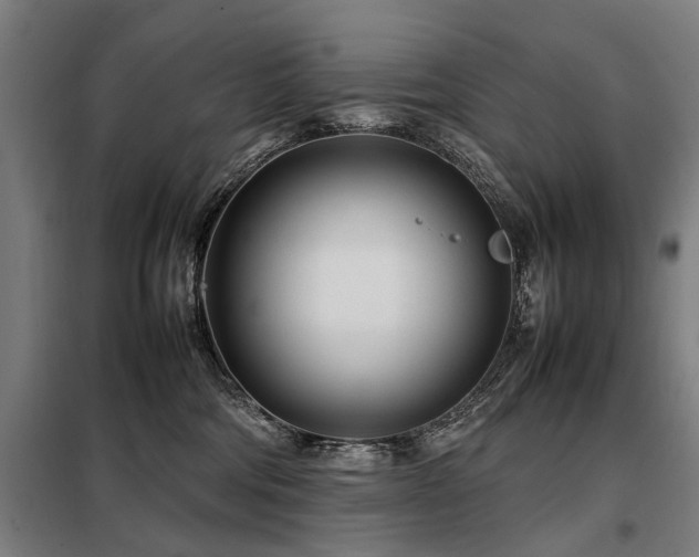 X0000098120330200804041414