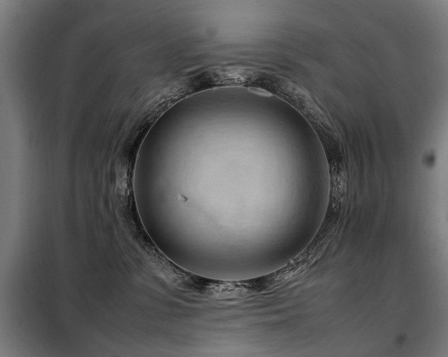 X0000098120331200804041414