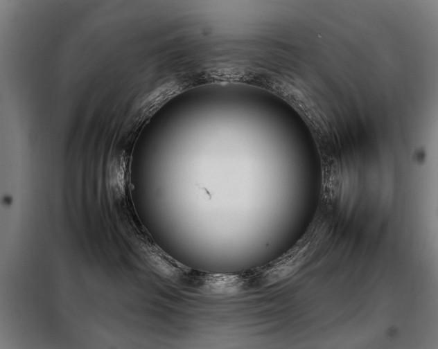 X0000098120334200804041414