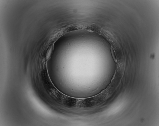 X0000098120335200804041414