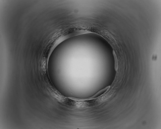 X0000098120336200804041414