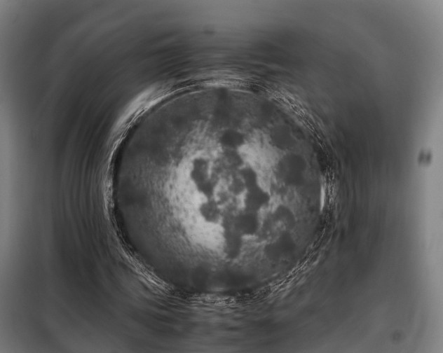 X0000098120339200804041413