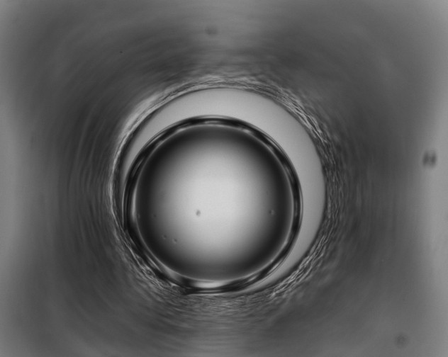 X0000098120340200804041413