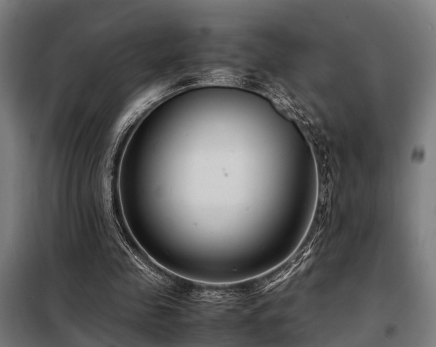 X0000098120341200804041413