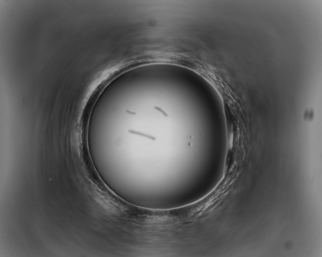 X0000098120342200804041413