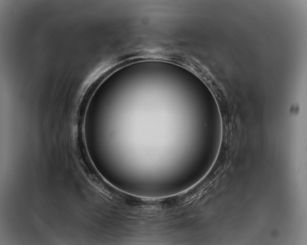 X0000098120344200804041413