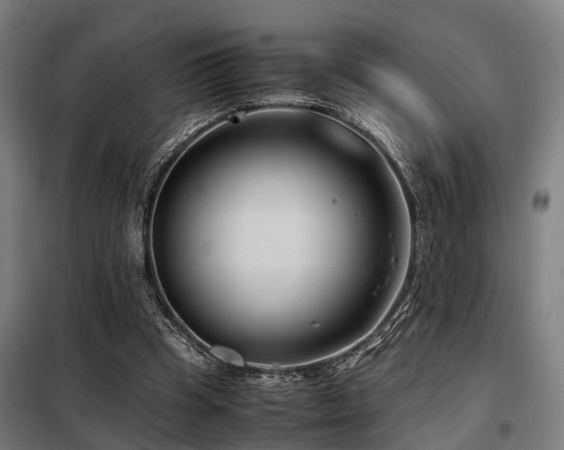 X0000098120345200804041413