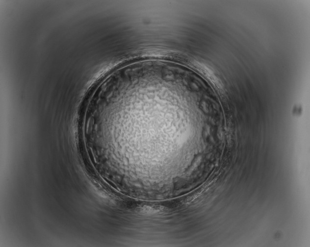 X0000098120346200804041413