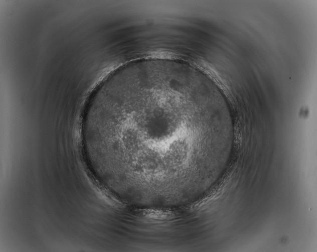 X0000098120347200804041413