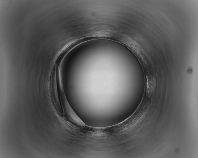 X0000098120348200804041413