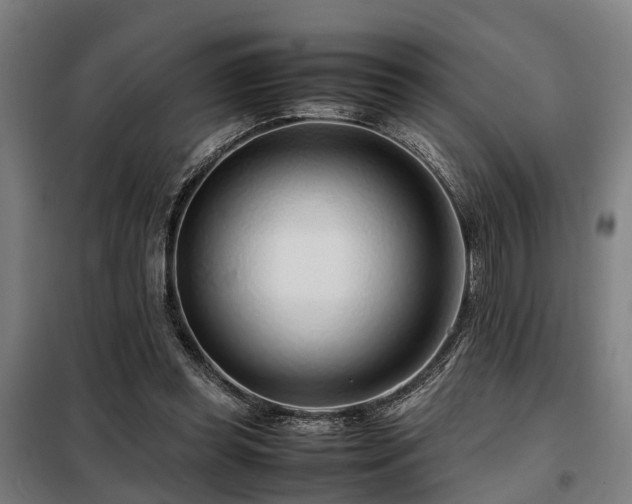 X0000098120349200804041413