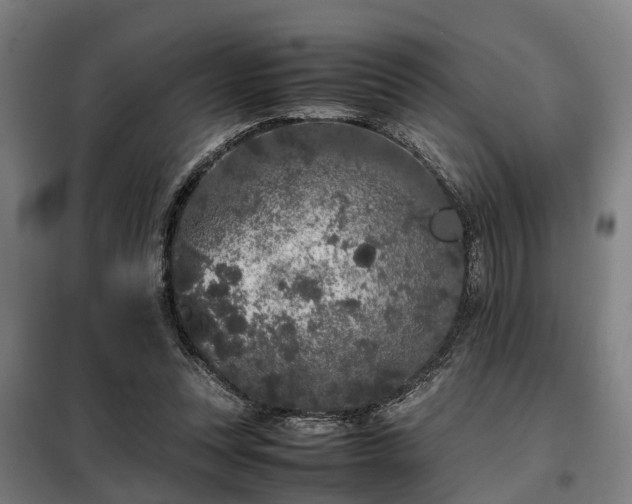 X0000098120351200804041413