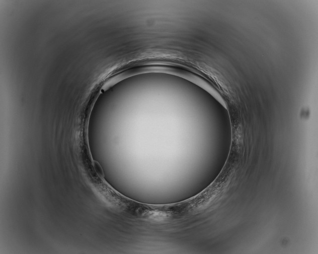 X0000098120352200804041413
