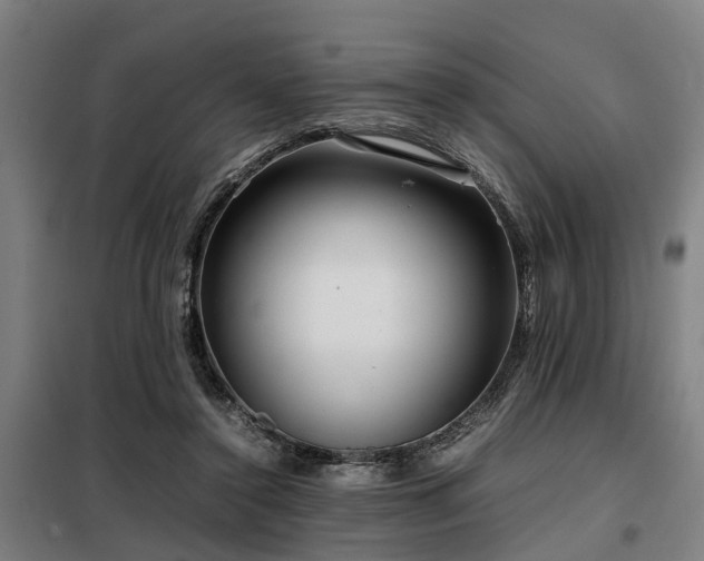 X0000098120356200804041413