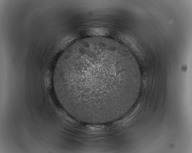 X0000098120359200804041413
