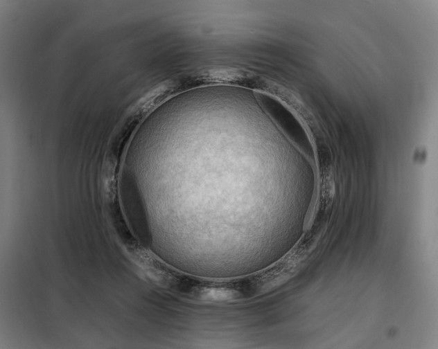 X0000098120360200804041413