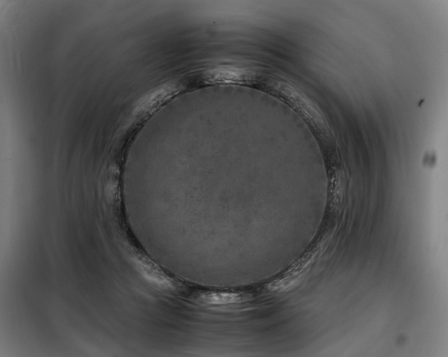 X0000098120361200804041413