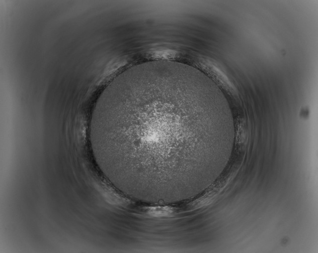 X0000098120363200804041413