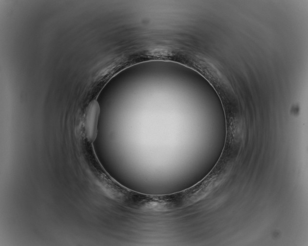 X0000098120364200804041413