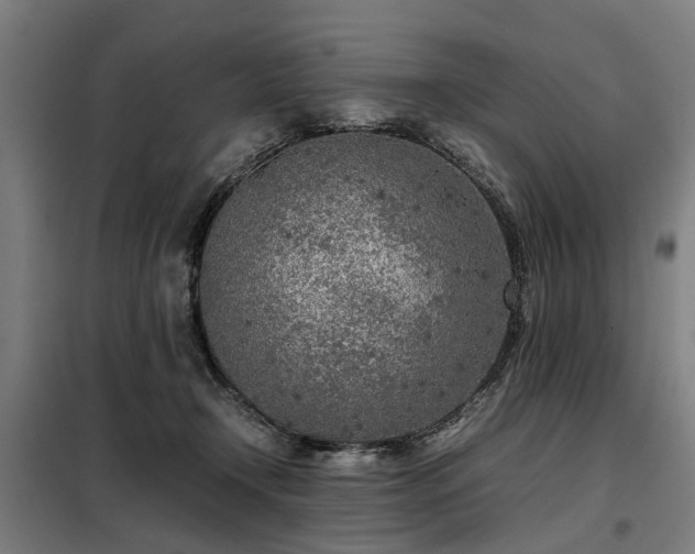 X0000098120366200804041413