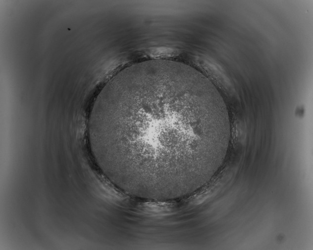 X0000098120367200804041413