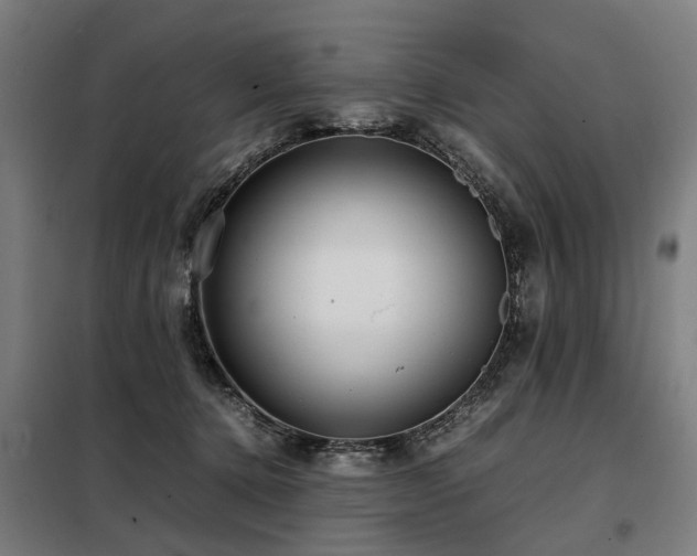 X0000098120368200804041413