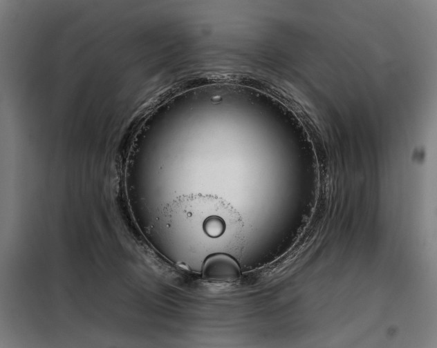 X0000098120370200804041413