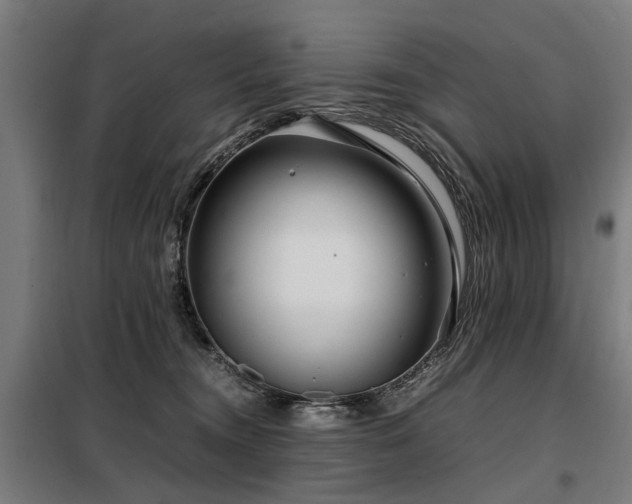 X0000098120372200804041413