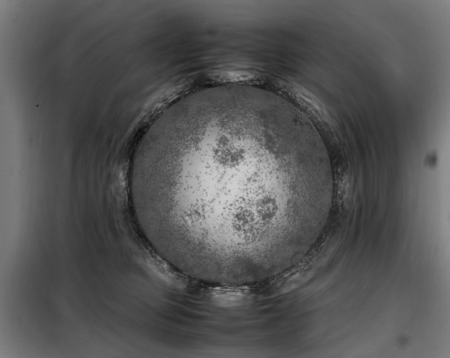 X0000098120373200804041413