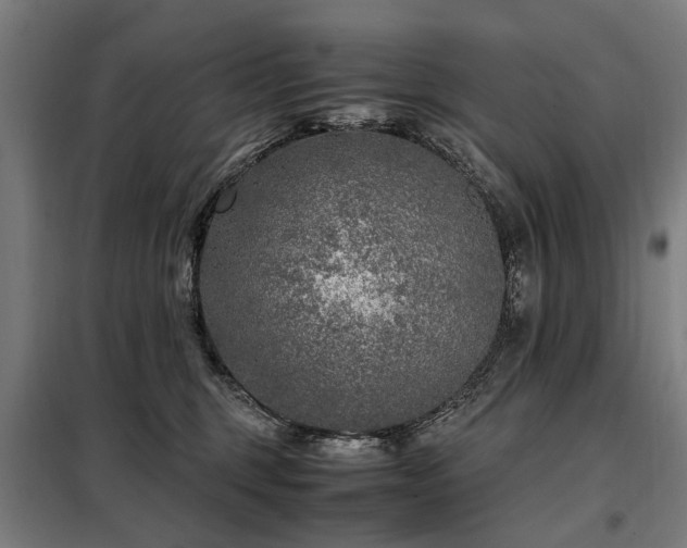 X0000098120375200804041413
