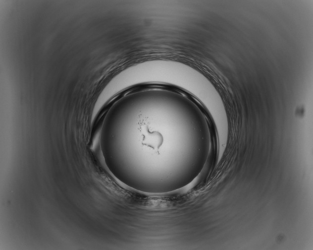 X0000098120376200804041413