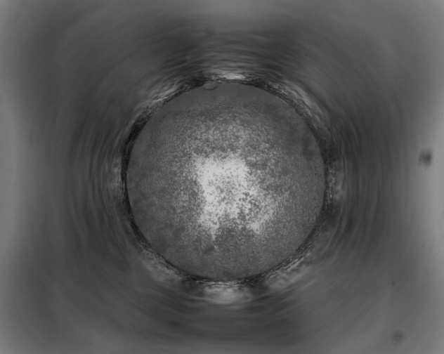 X0000098120377200804041413