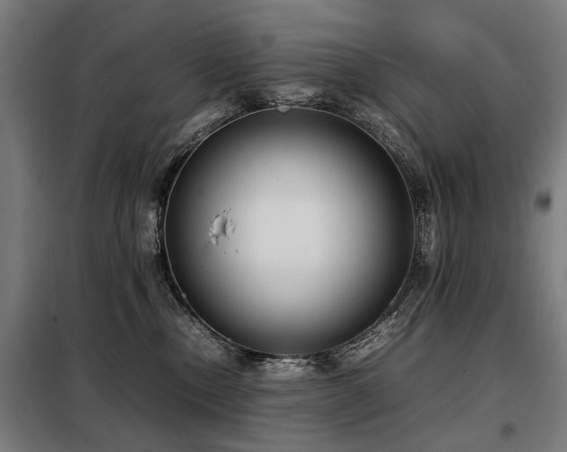 X0000098120378200804041413