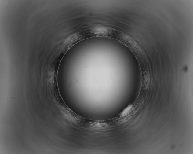 X0000098120379200804041413