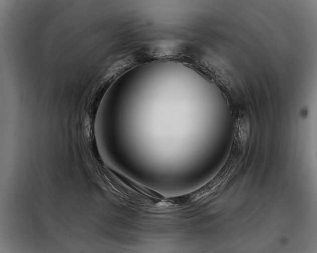 X0000098120380200804041413