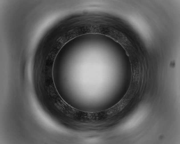 X0000098120383200804041414