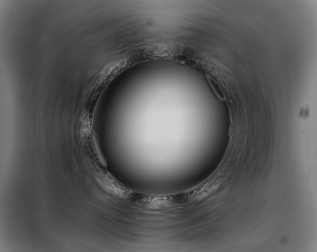 X0000098120384200804041414