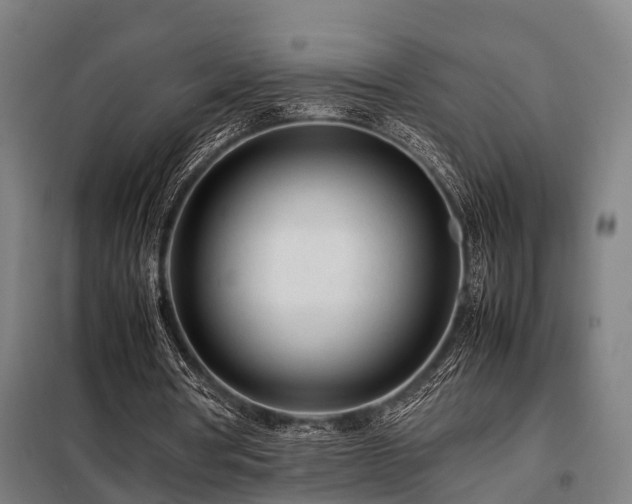 X0000098120386200804041413