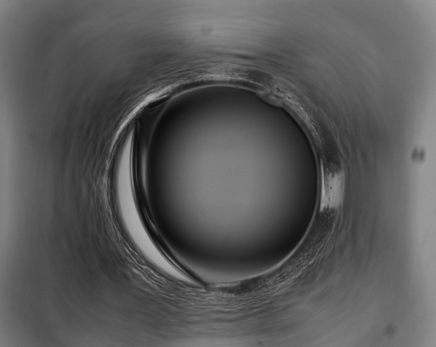 X0000098120387200804041413