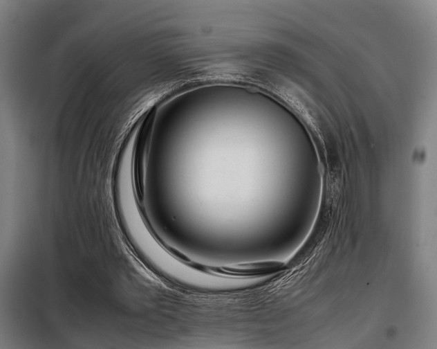 X0000098120389200804041413