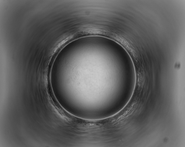 X0000098120390200804041413