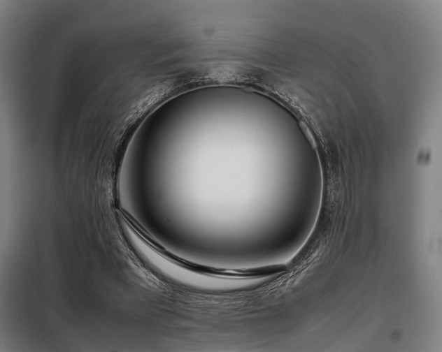 X0000098120393200804041413