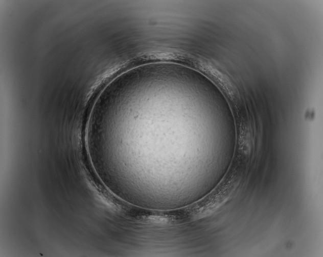 X0000098120394200804041413