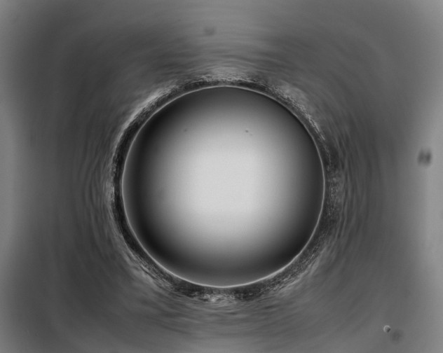 X0000098120395200804041413