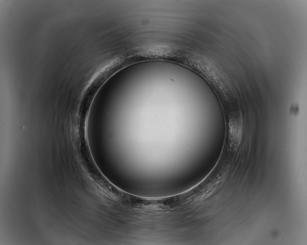 X0000098120396200804041413