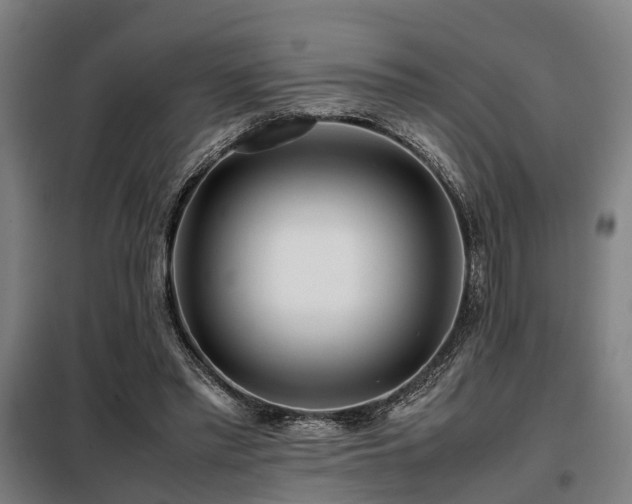 X0000098120397200804041413