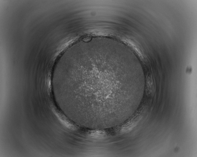 X0000098120398200804041413