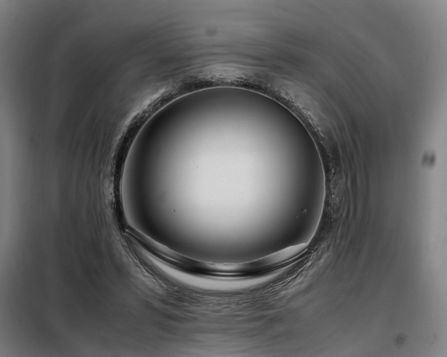 X0000098120399200804041413